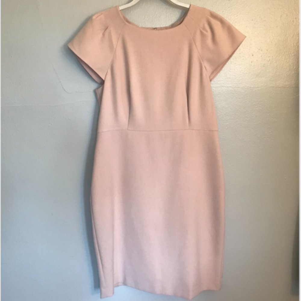 Ann Taylor Blush Dress NEW WITH TAGS